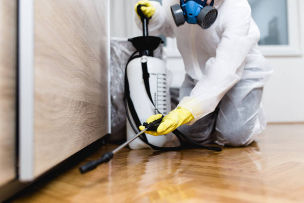 Best Best Pest Control Companies  in Dade City North, FL