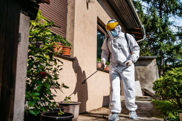 Best Emergency Pest Control  in Dade City North, FL
