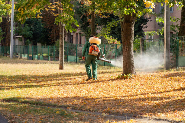 Best Wasp Removal Services  in Dade City North, FL