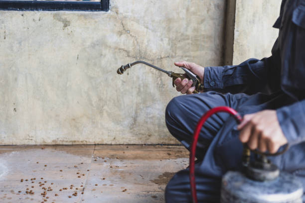 Best Best Pest Control Companies  in Dade City North, FL