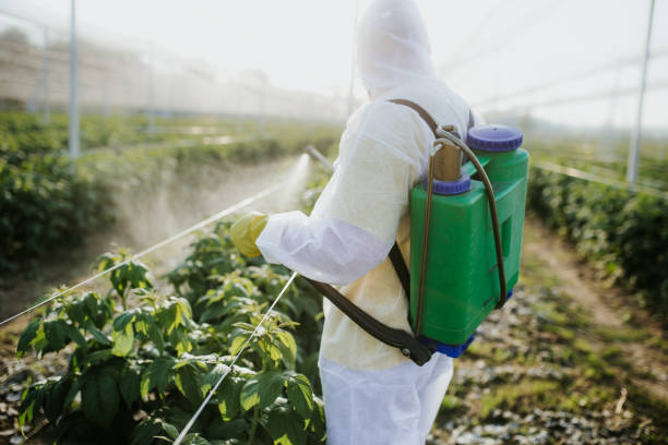 Best Exterminator Services  in Dade City North, FL